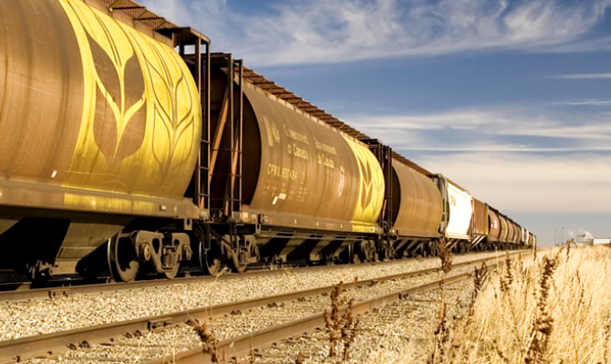 Місяць без хліба: як 30 днів без випічки впливають на організм і змінюють звички харчування